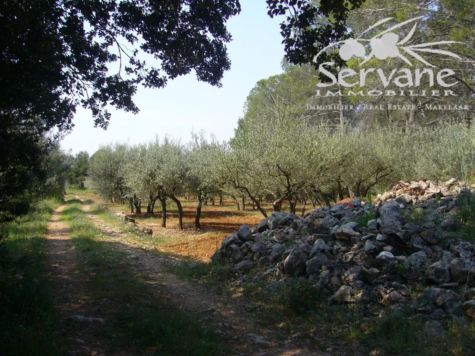 CHARMING HOUSE MONTFORT SUR ARGENS T3
