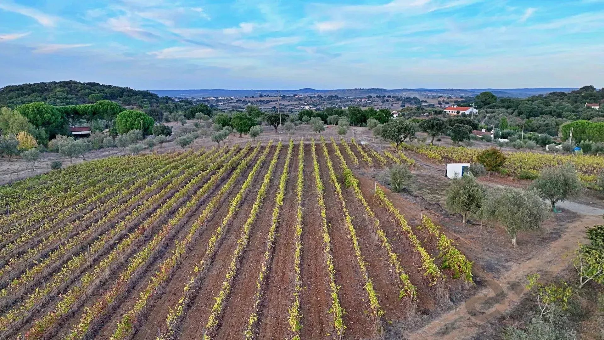 Charming Monte Alentejano and Wine Estate 86384492 image 37