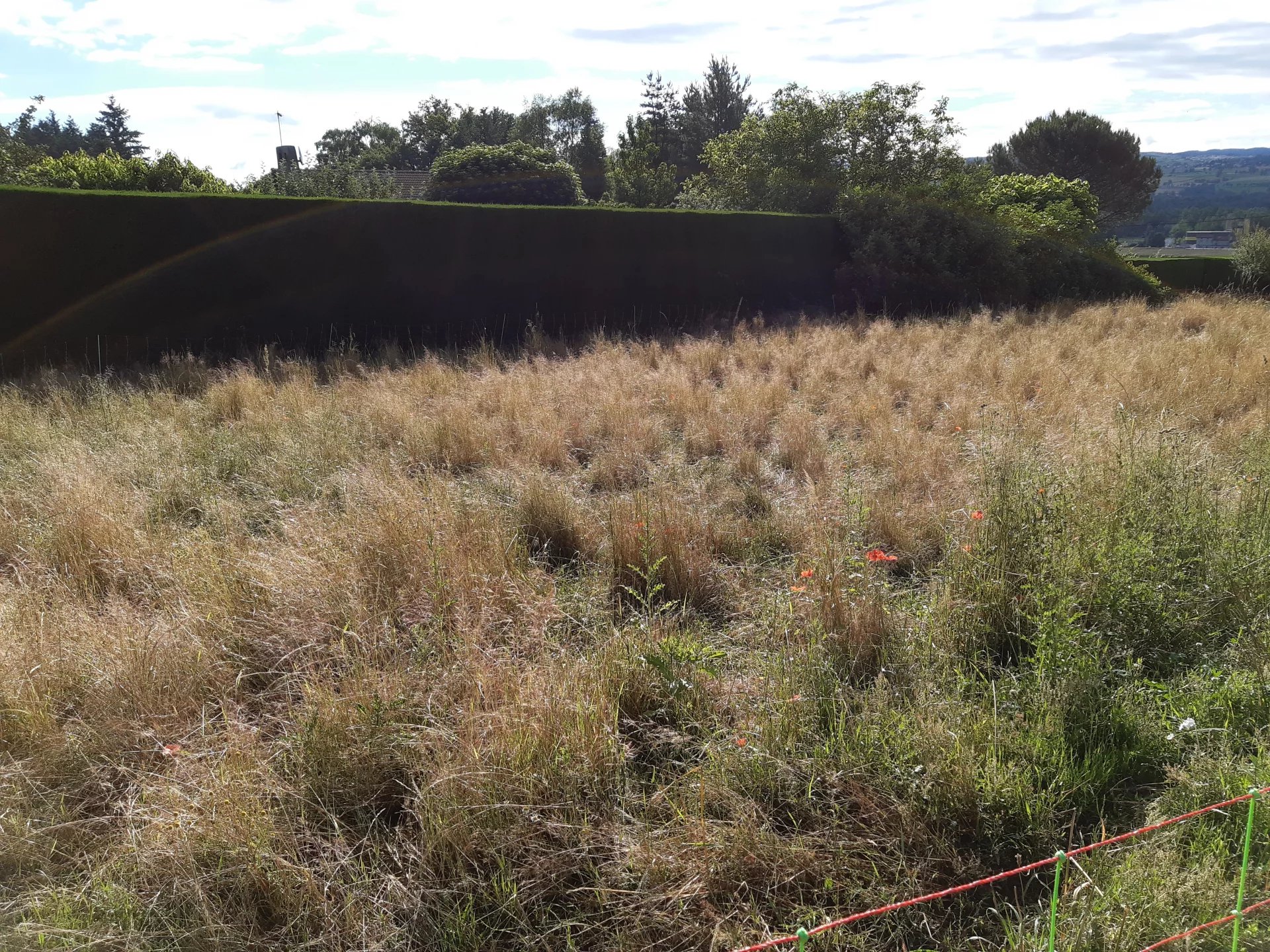 Vente Terrain Bas-en-Basset