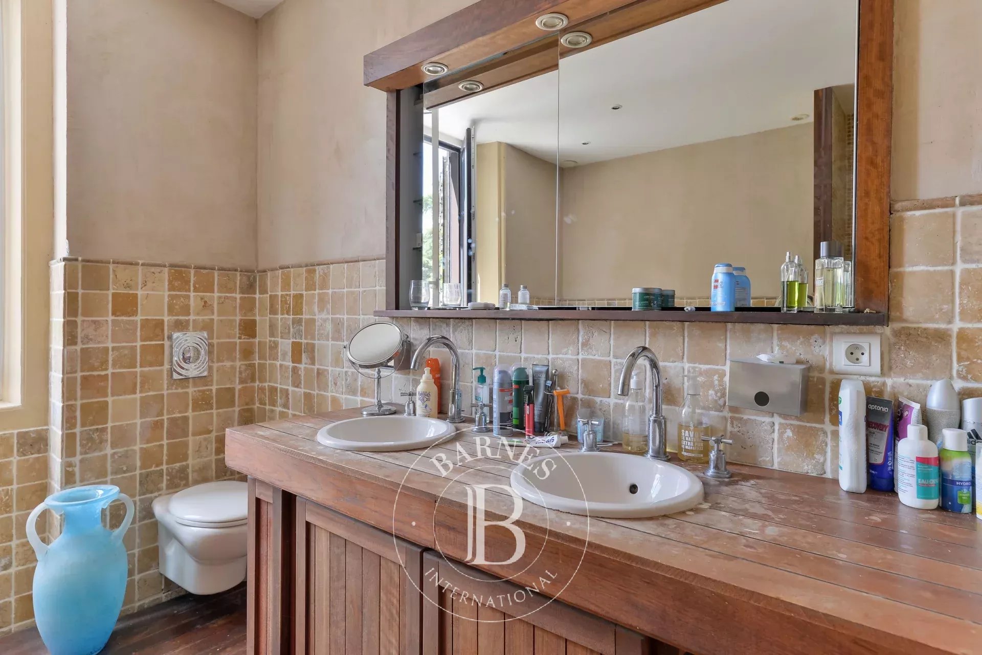 Ev Collonges-au-Mont-d'Or - picture 12