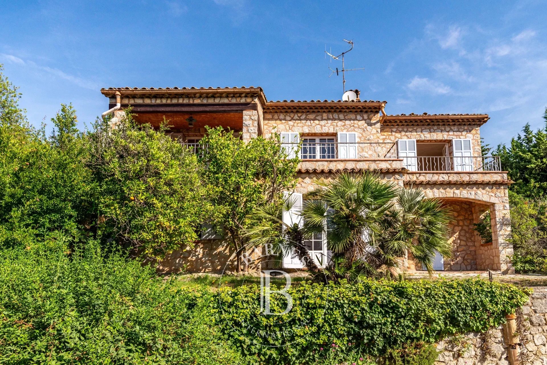 Ev Grasse - picture 4