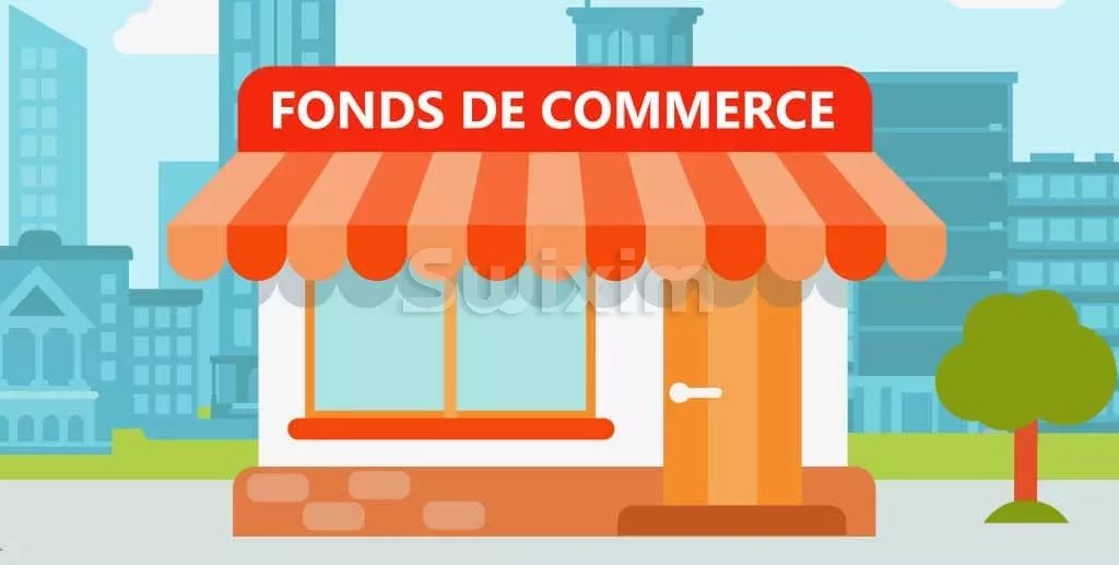 Agence immobilière de SWISS PLAN SAS
