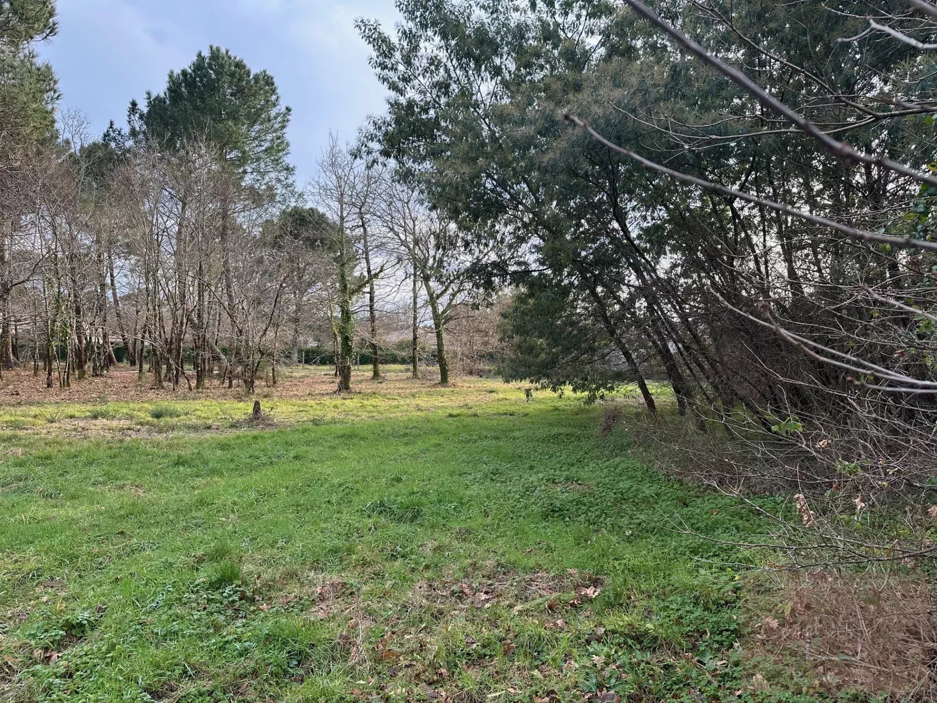 Agence immobilière de Deligey Immo Conseil