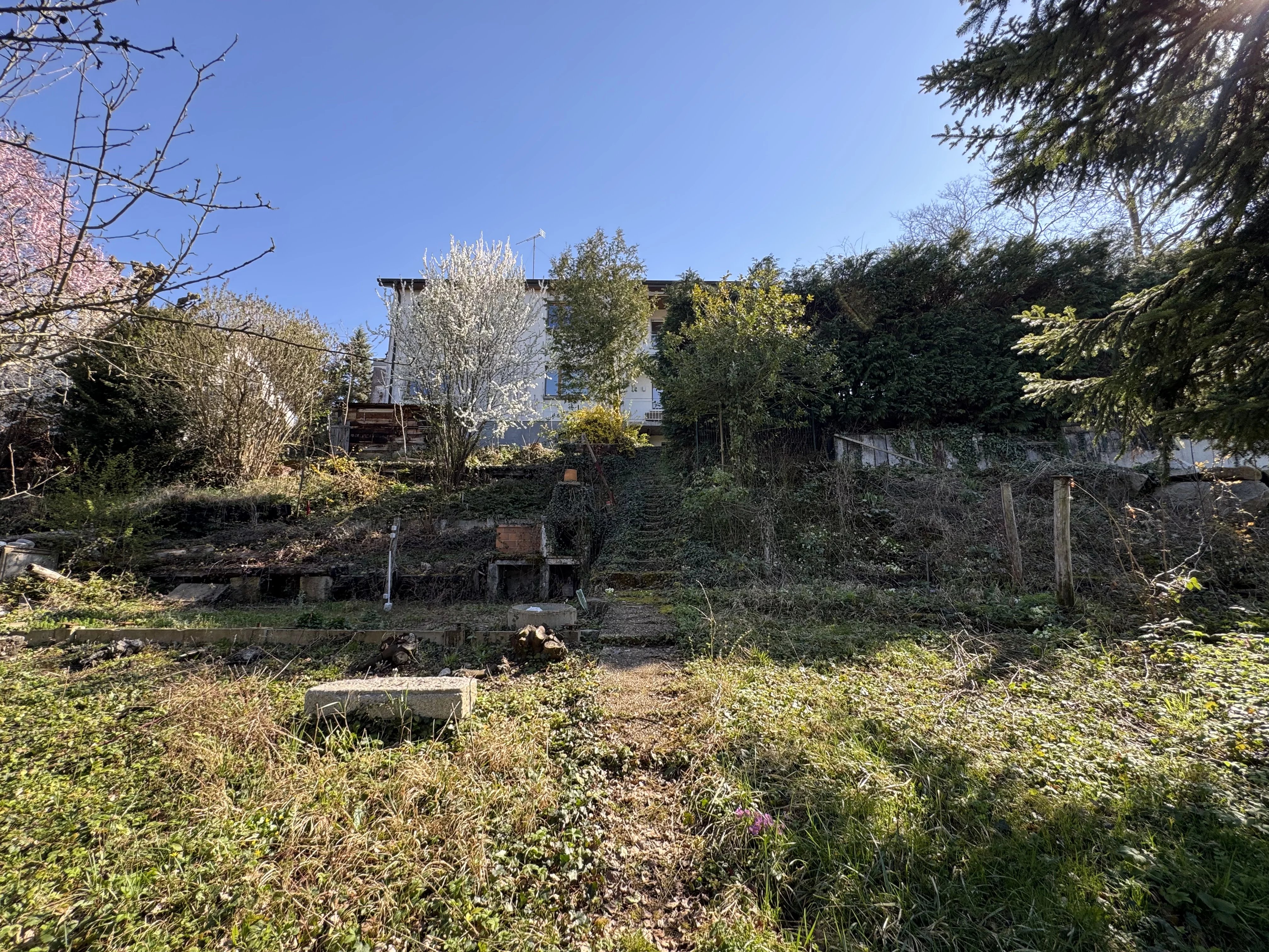 ALTKIRCH – TERRAIN À BÂTIR DE 8,56 ARES — photo 9
