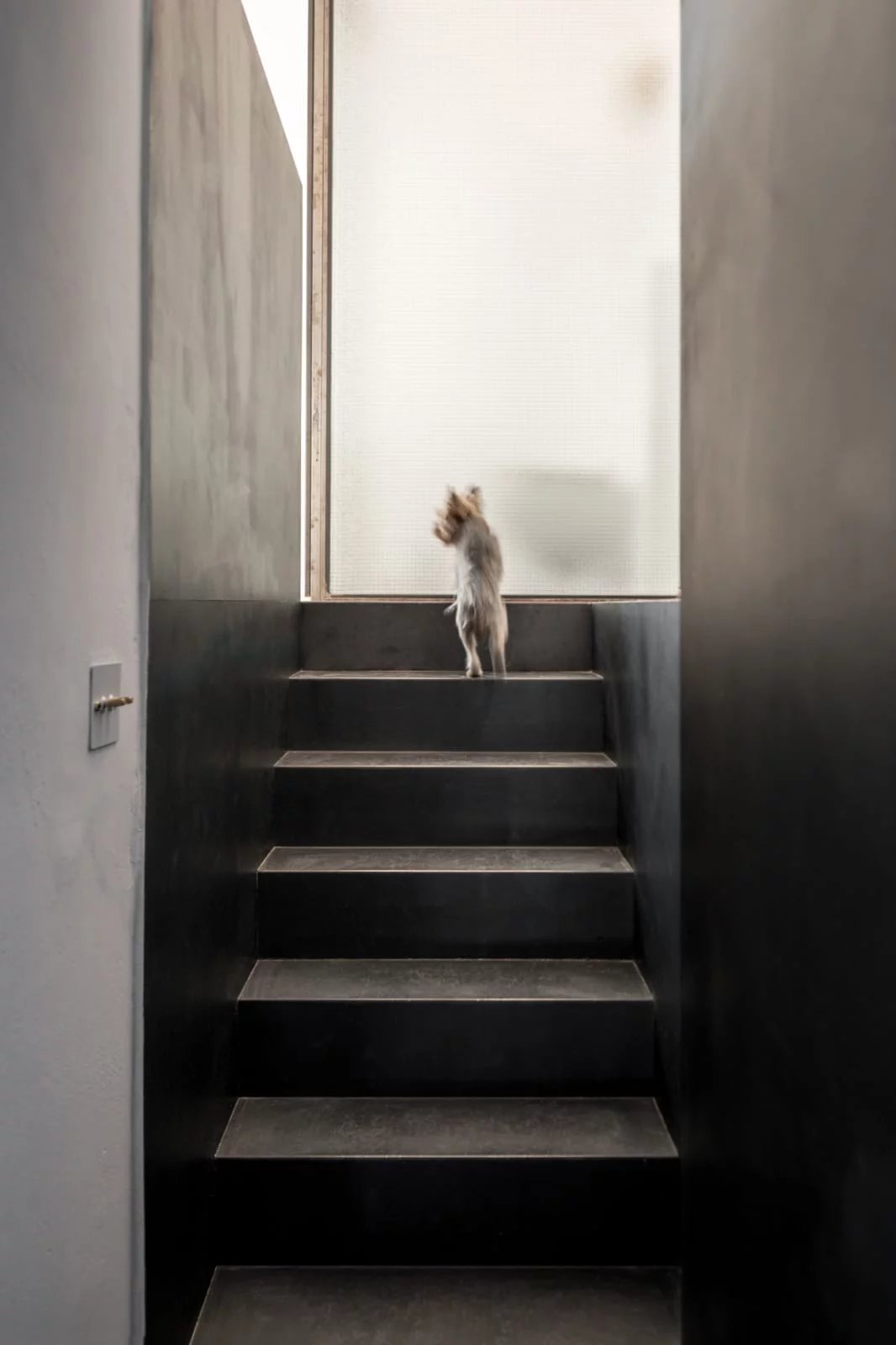 Εικόνα ιδιοκτησίας 21