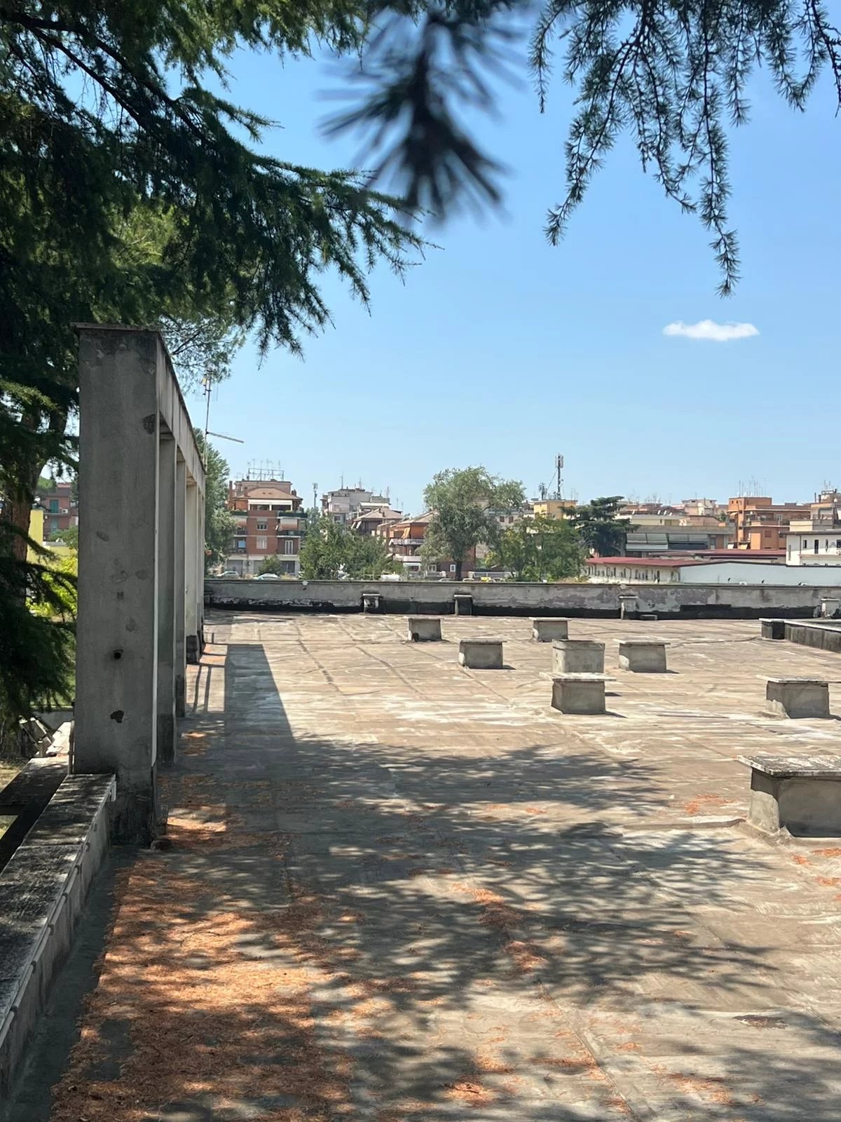Vendita Magazzino Roma Alessandrino - Torre Spaccata