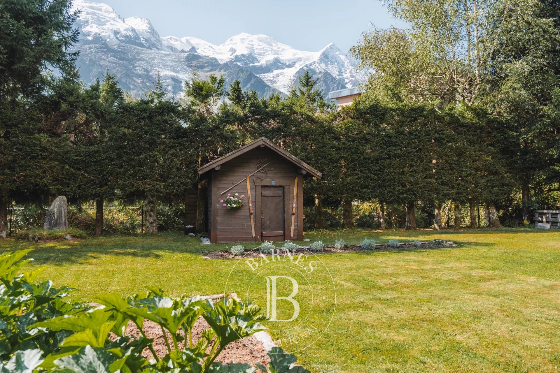 Dağ evi Chamonix-Mont-Blanc - picture 8