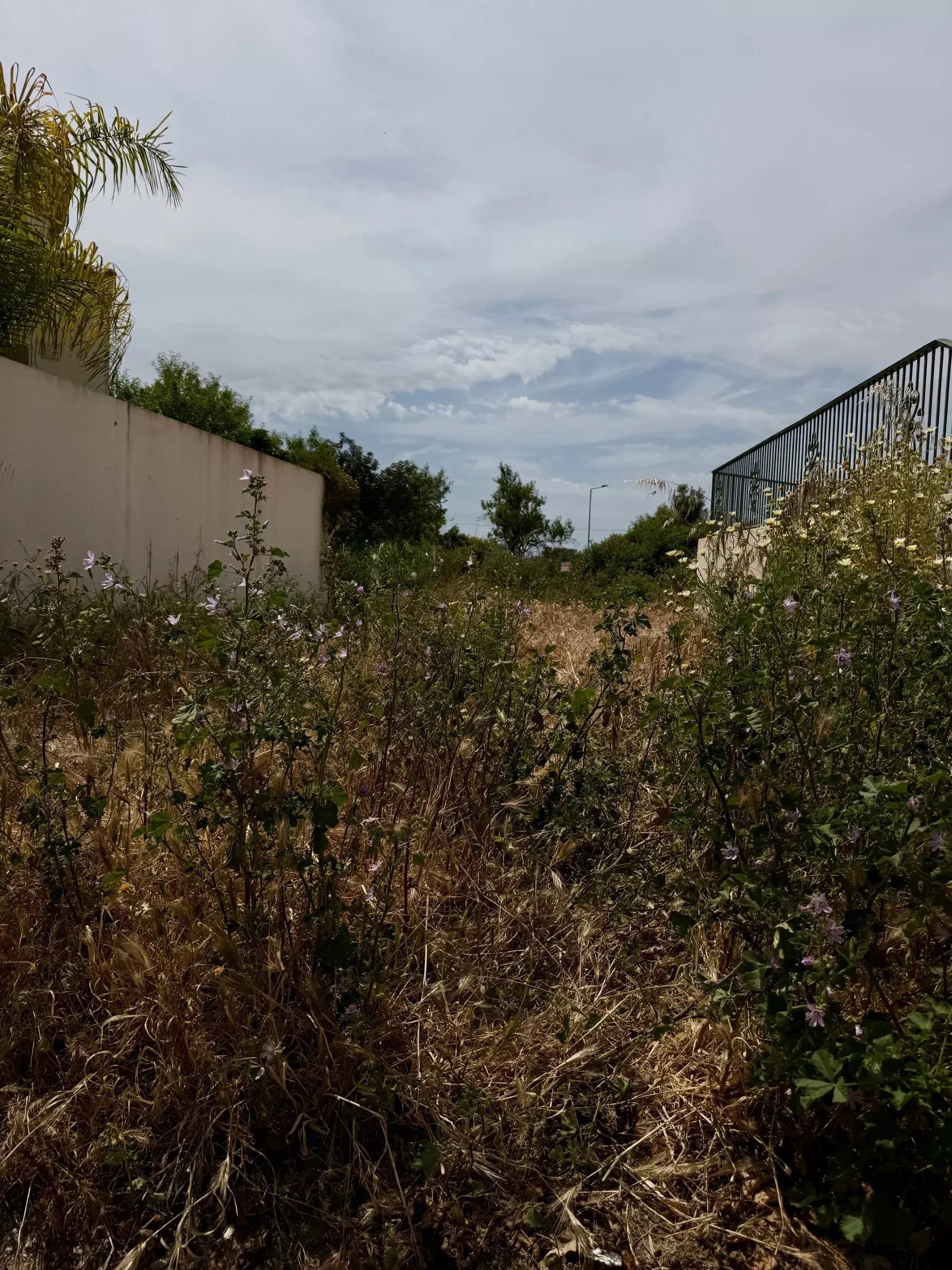 600 m² Residential Land in Moncarapacho e Fuseta 86962874 image 5