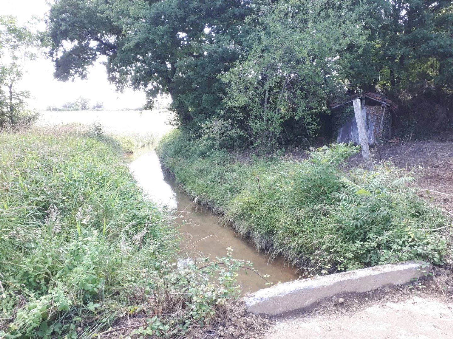 Village house for sale Samaran, Gers