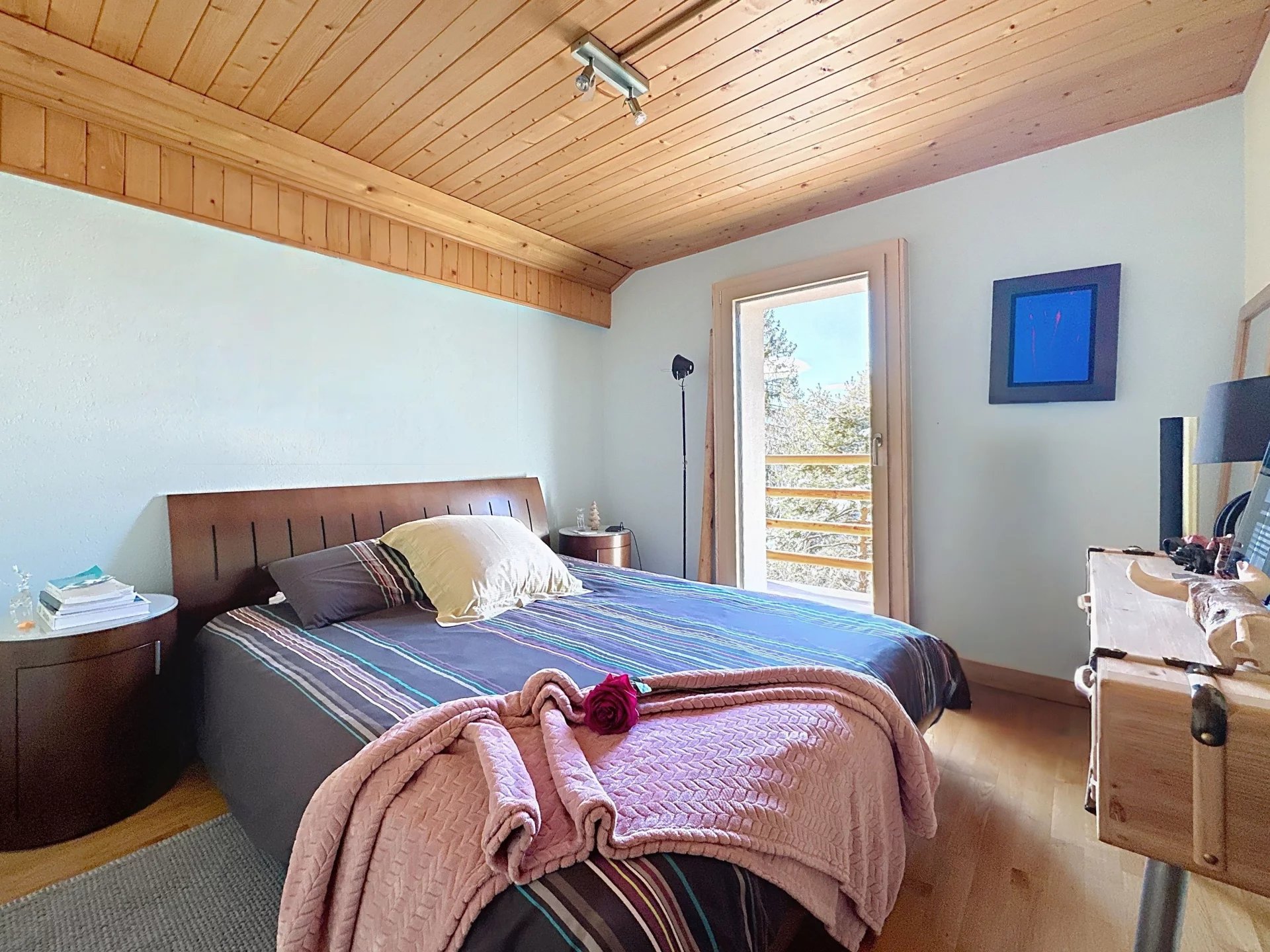 Vue panoramique sur le Mont-Blanc et la Cime de l'Est