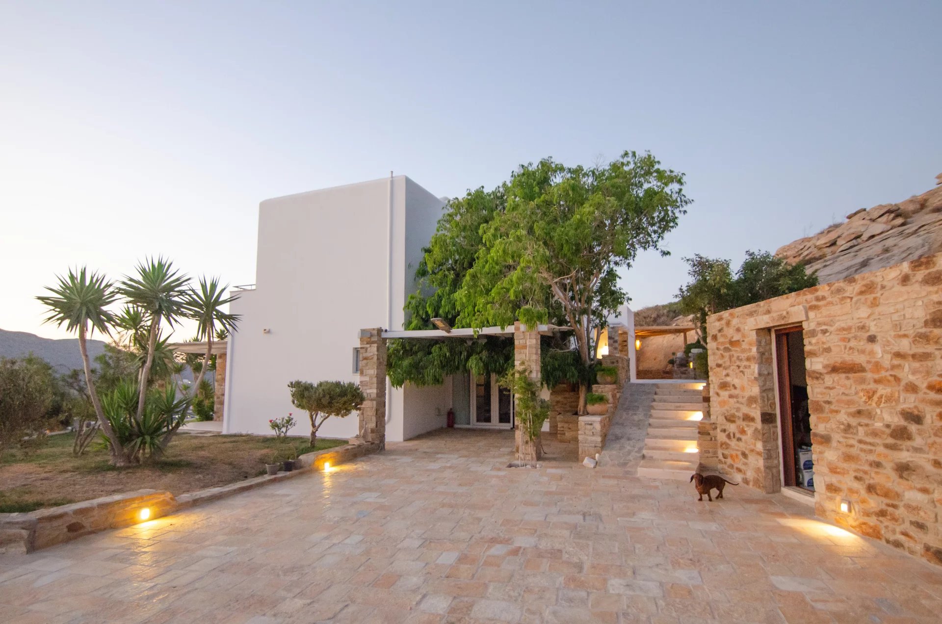 Image de la propriété 6