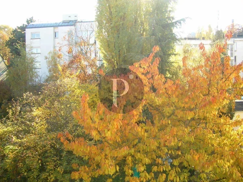 vente-appartement-5-pieces-sceaux-83876554
