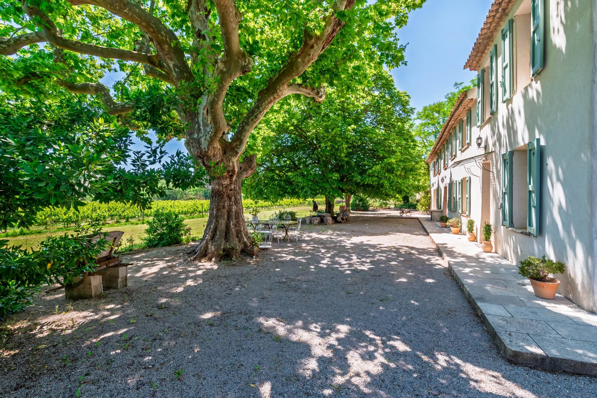 Propriété viticole Vidauban  -  ref 85793867 (picture 2)