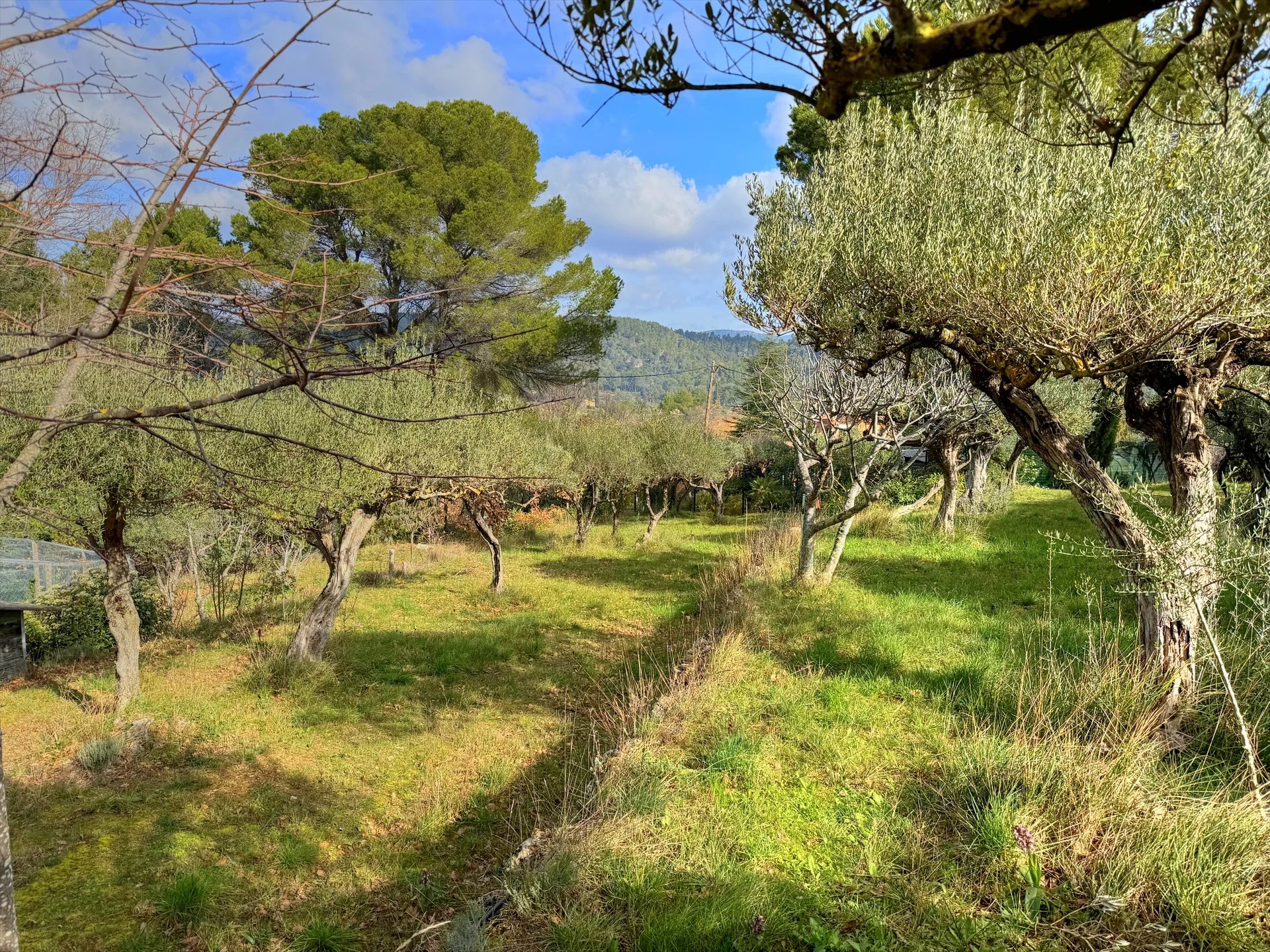 Superb building plot with unobstructed view in Salernes