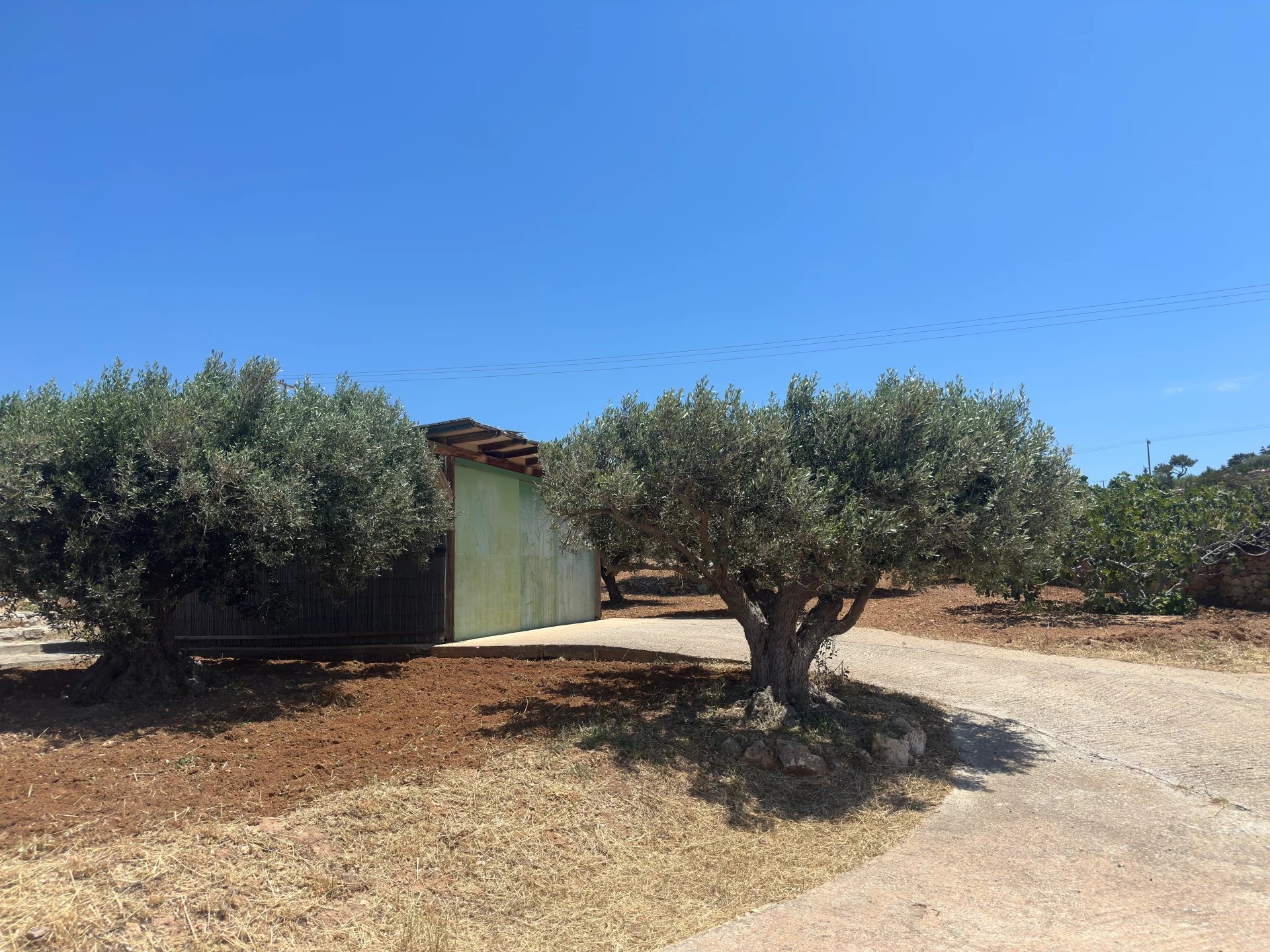 Εικόνα ιδιοκτησίας 99