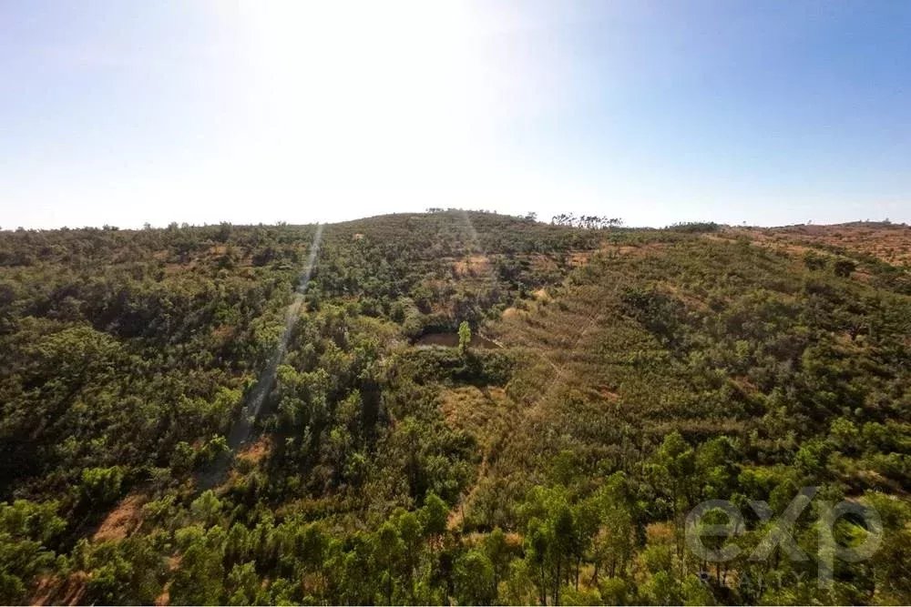 Exceptional 65-Hectare Estate in Alentejo with Tourism Development Potential 85506160 image 47