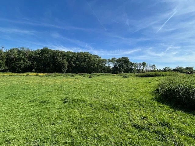 TERRAIN CONSTRUCTIBLE PRESLES EN BRIE