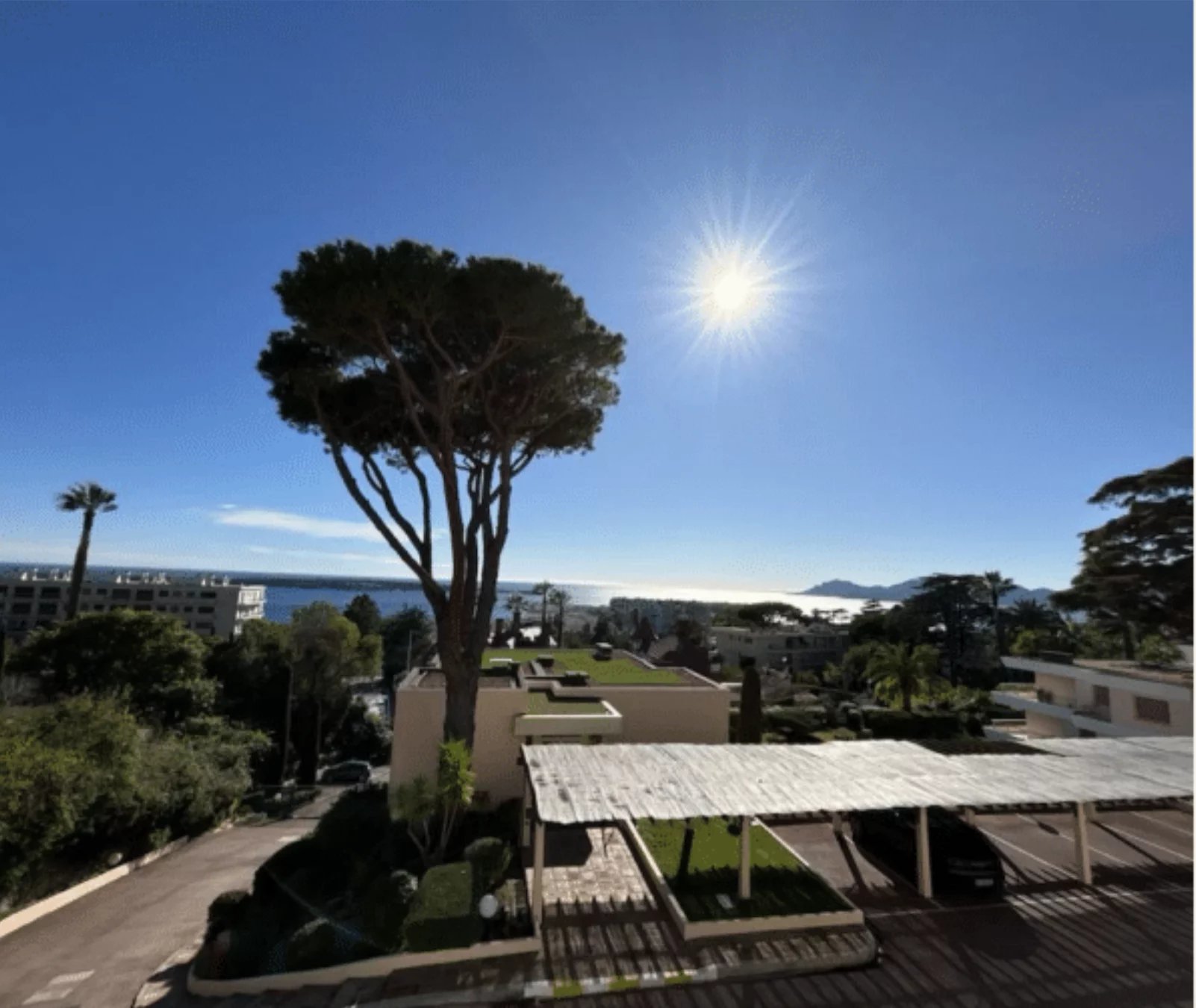 Agence immobilière de Cannes Real Estate