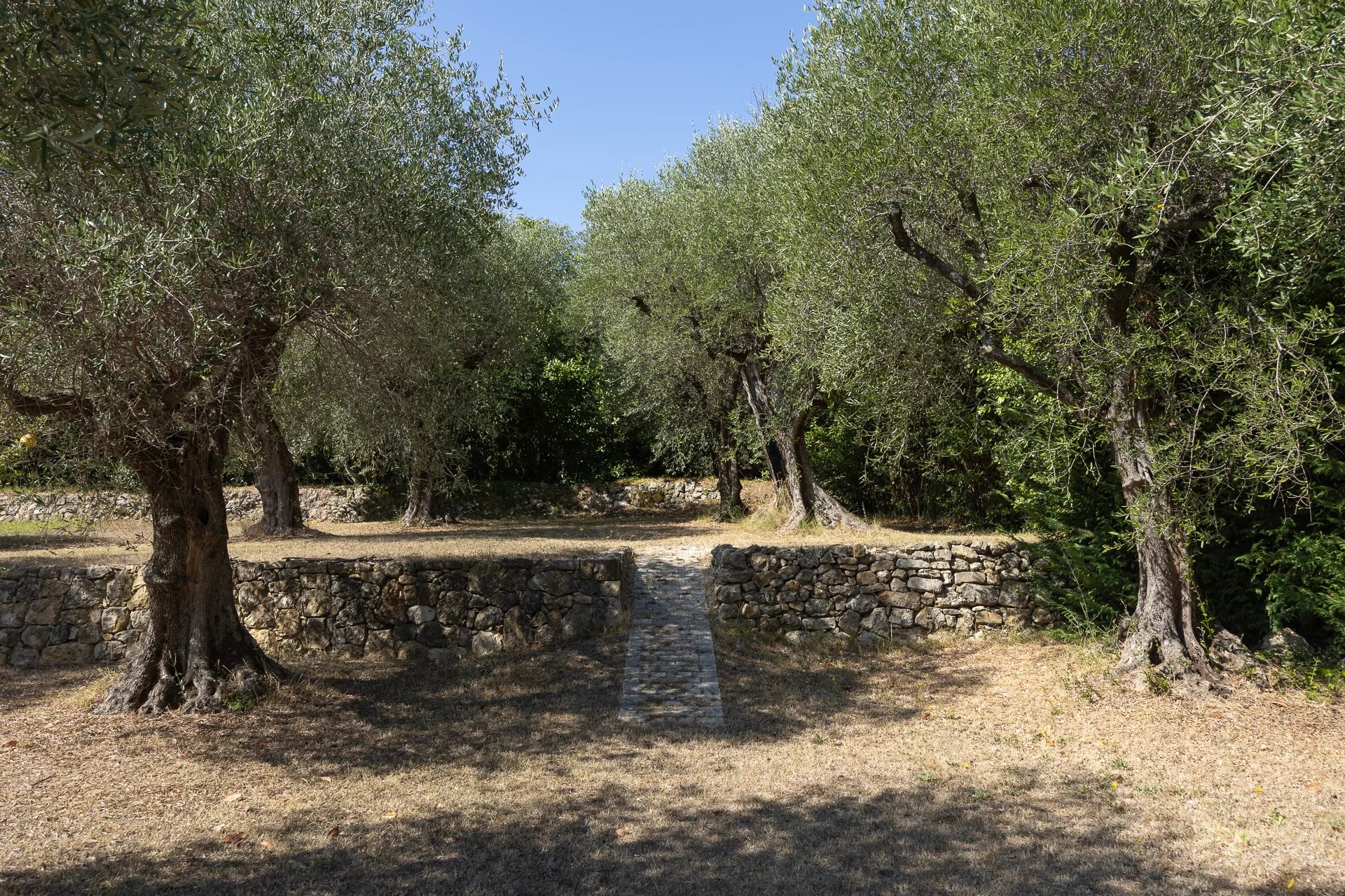 Villa with Pool in Grasse, Just 5 Minutes from Opio – 340 sqm – 5,000 sqm Landscaped Grounds