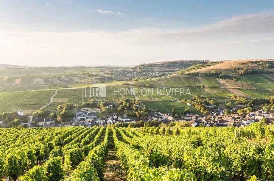 Boulangerie et Appartement à céder dans le Sancerrois