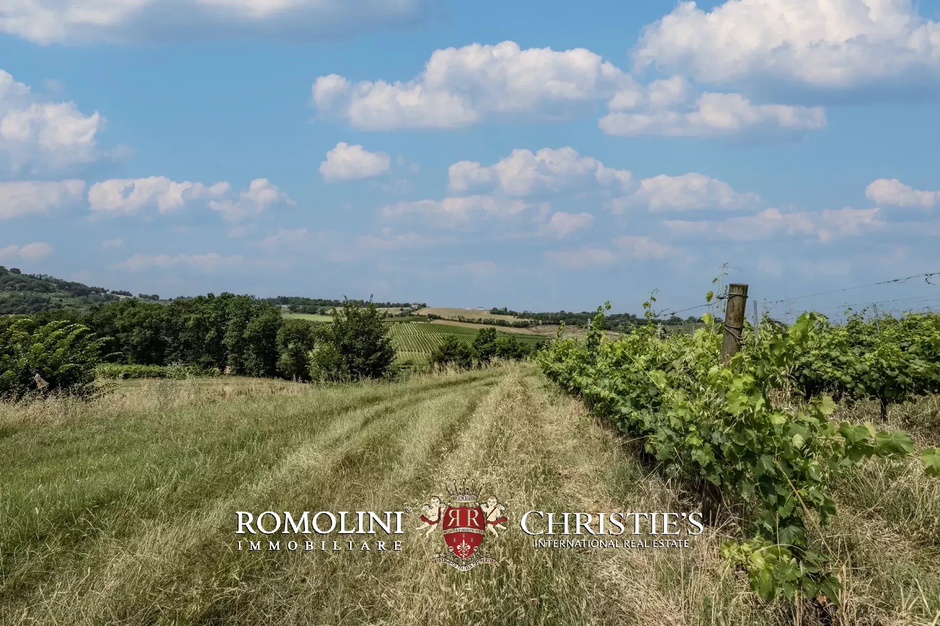 16 Bedroom Vineyard's Image 12