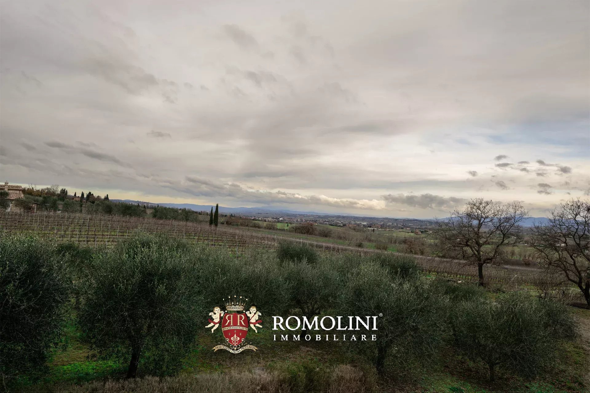 5 Bedroom Vineyard's Image 19