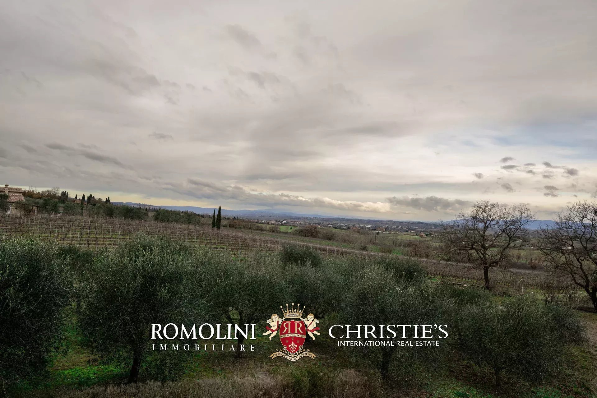 5 Bedroom Vineyard's Image 19