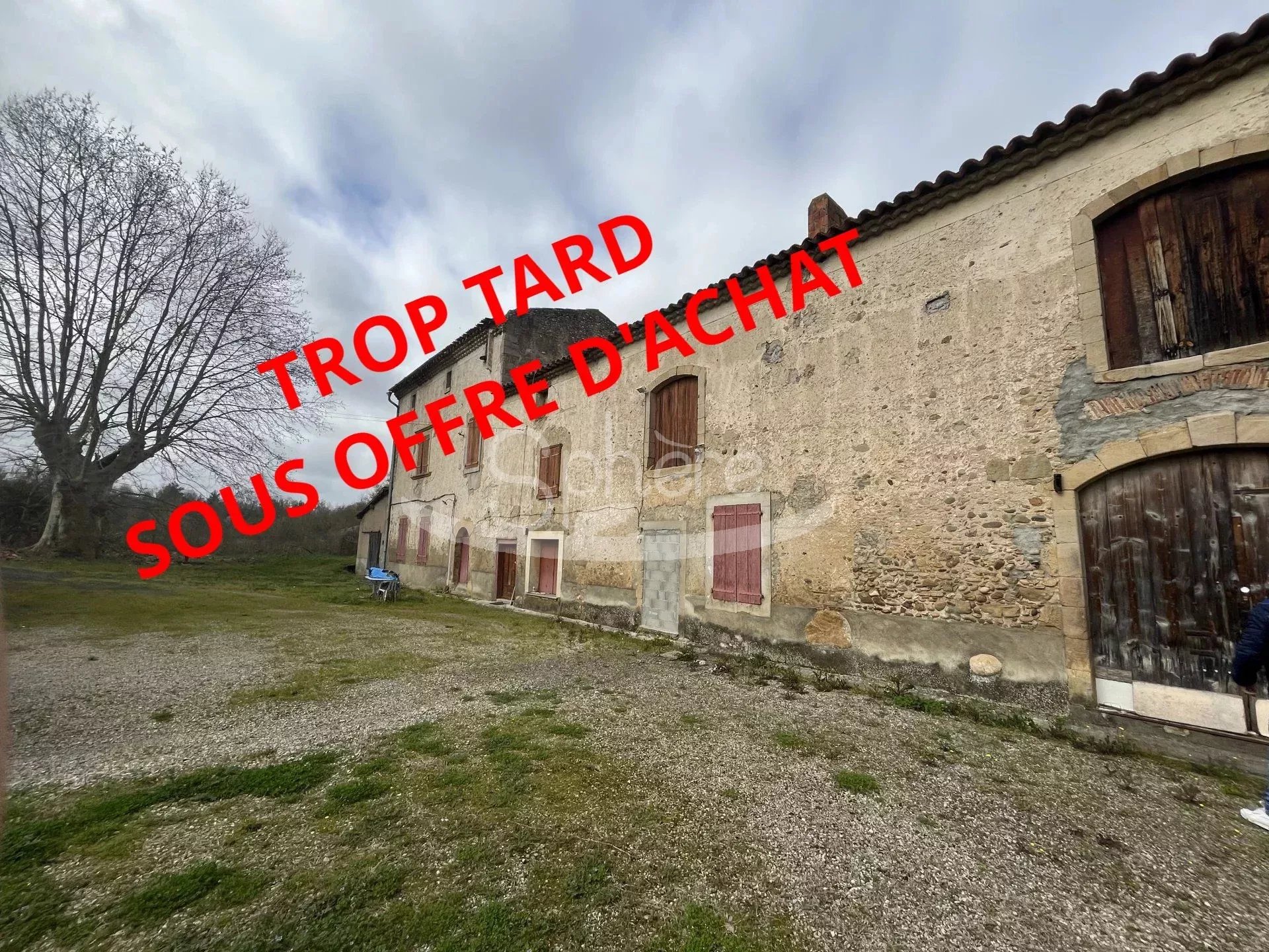 Agence immobilière de 