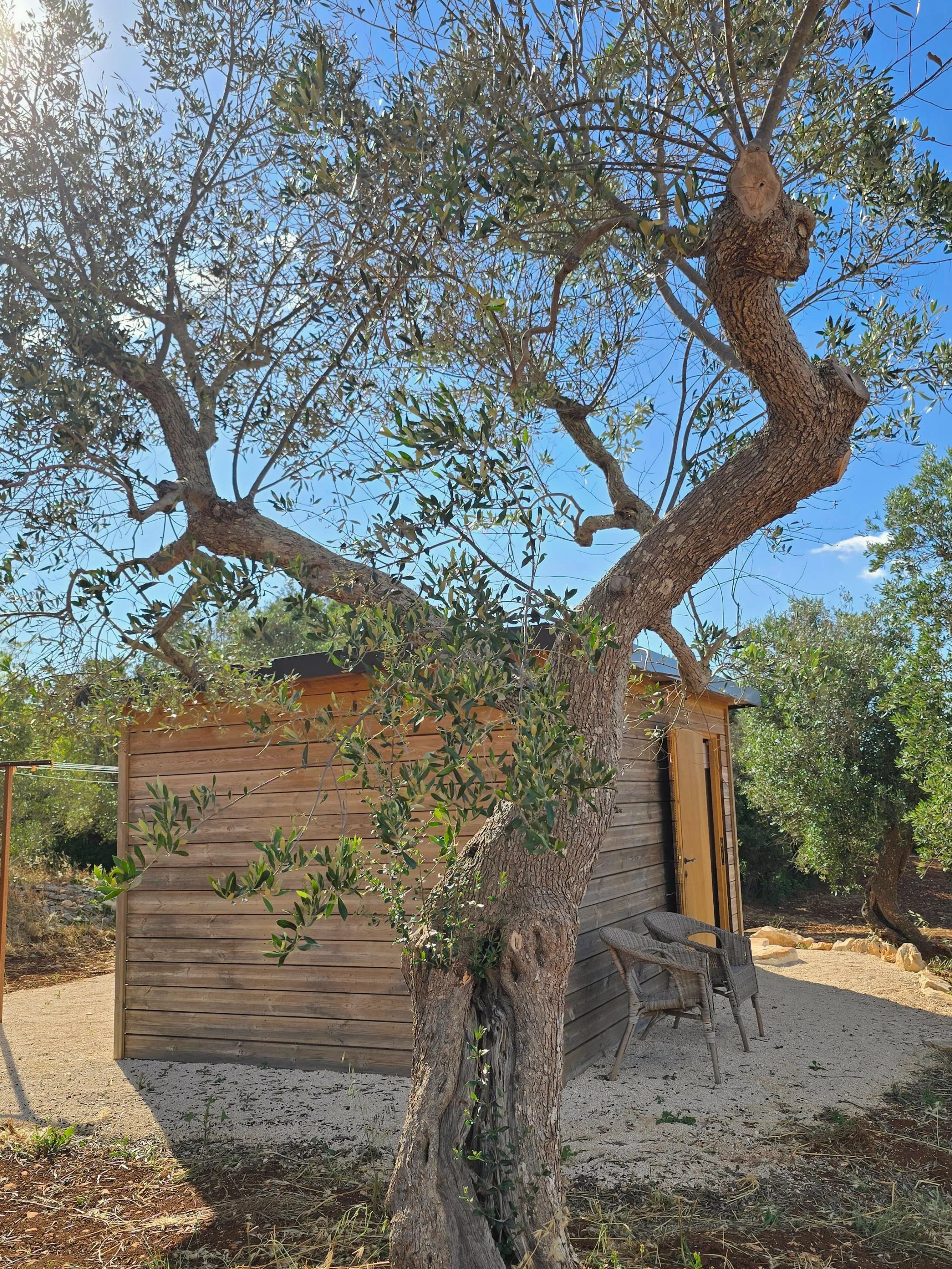 Venta Villa Ceglie Messapica