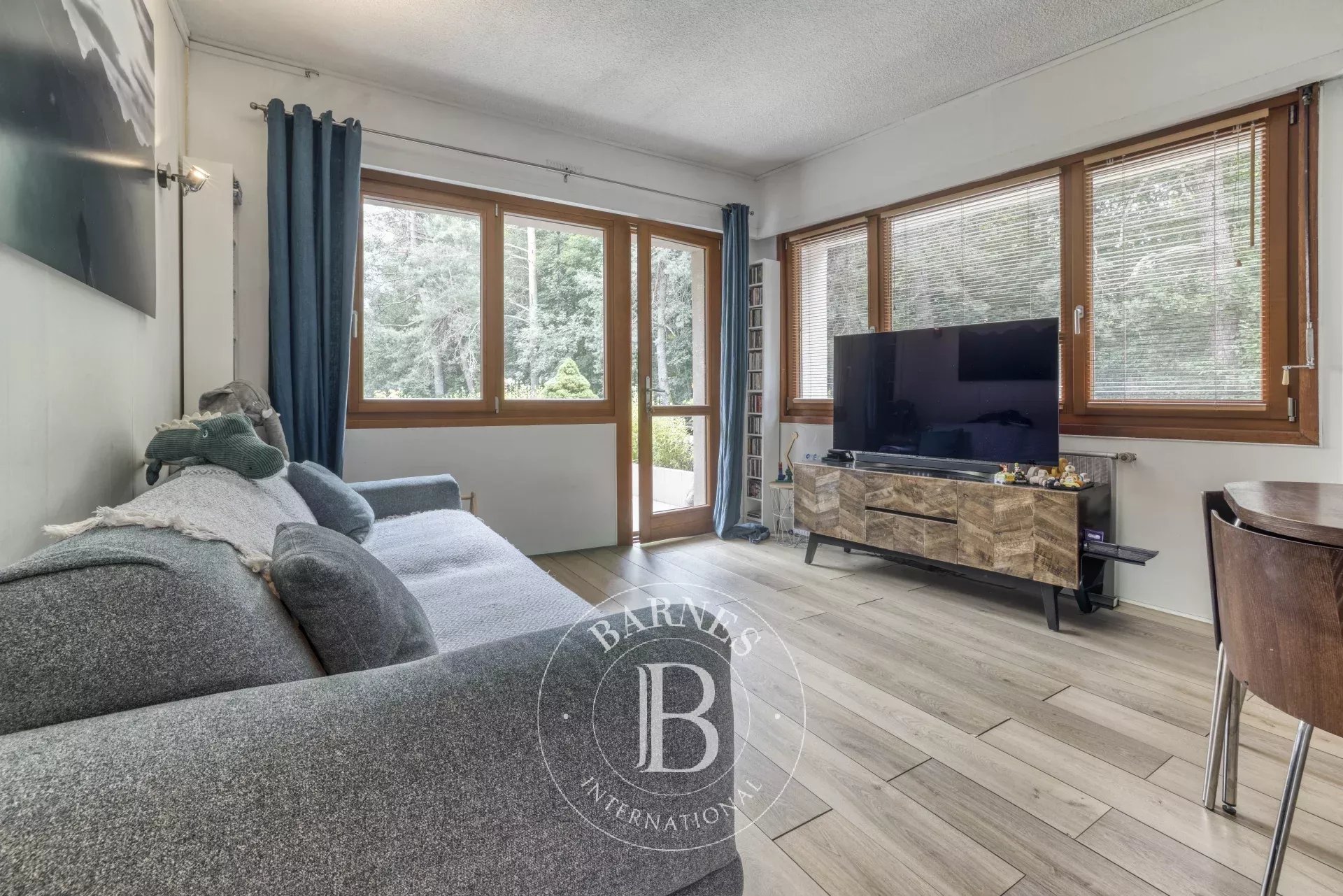 Appartement Chamonix-Mont-Blanc  -  ref 87245092 (picture 1)