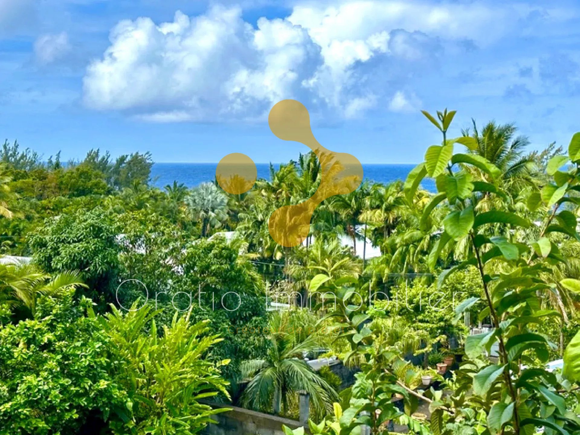 Vente Ensemble immobilier Basse Vallee