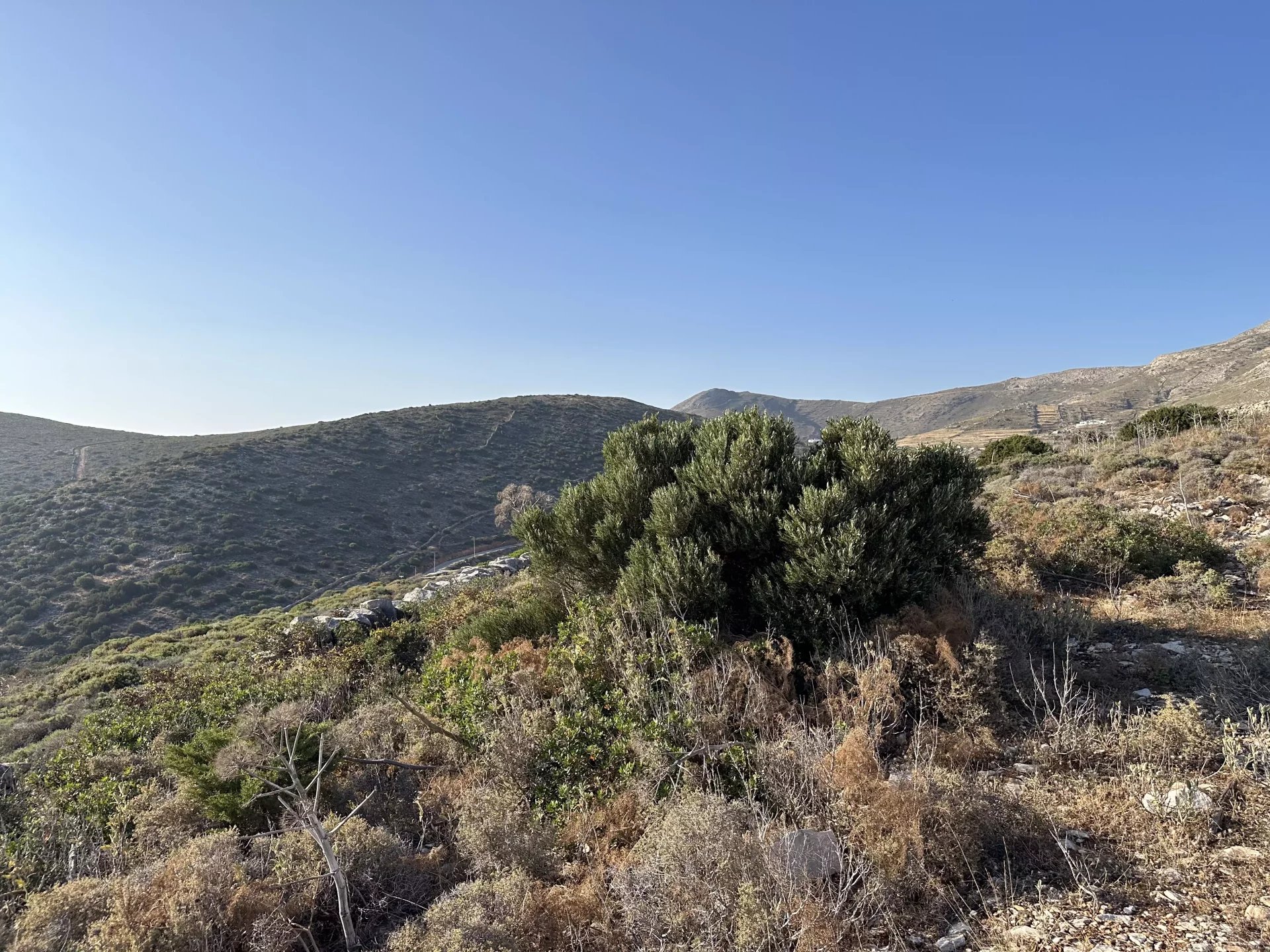 Image de la propriété 7