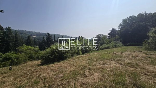 BUILDING PLOT 3070m² IN A QUIET LOCATION IN CHATEAUNEUF — photo 2