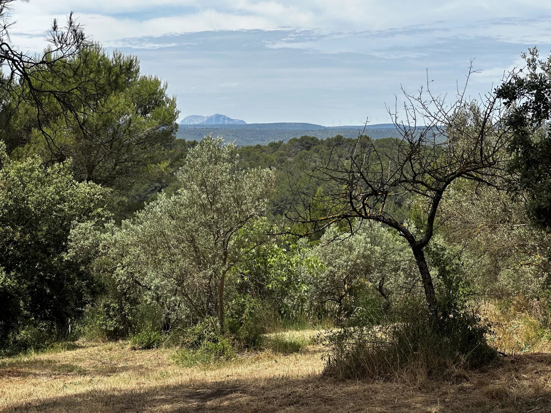 TERRAIN A BATIR - 11.600m² - PONTEVES