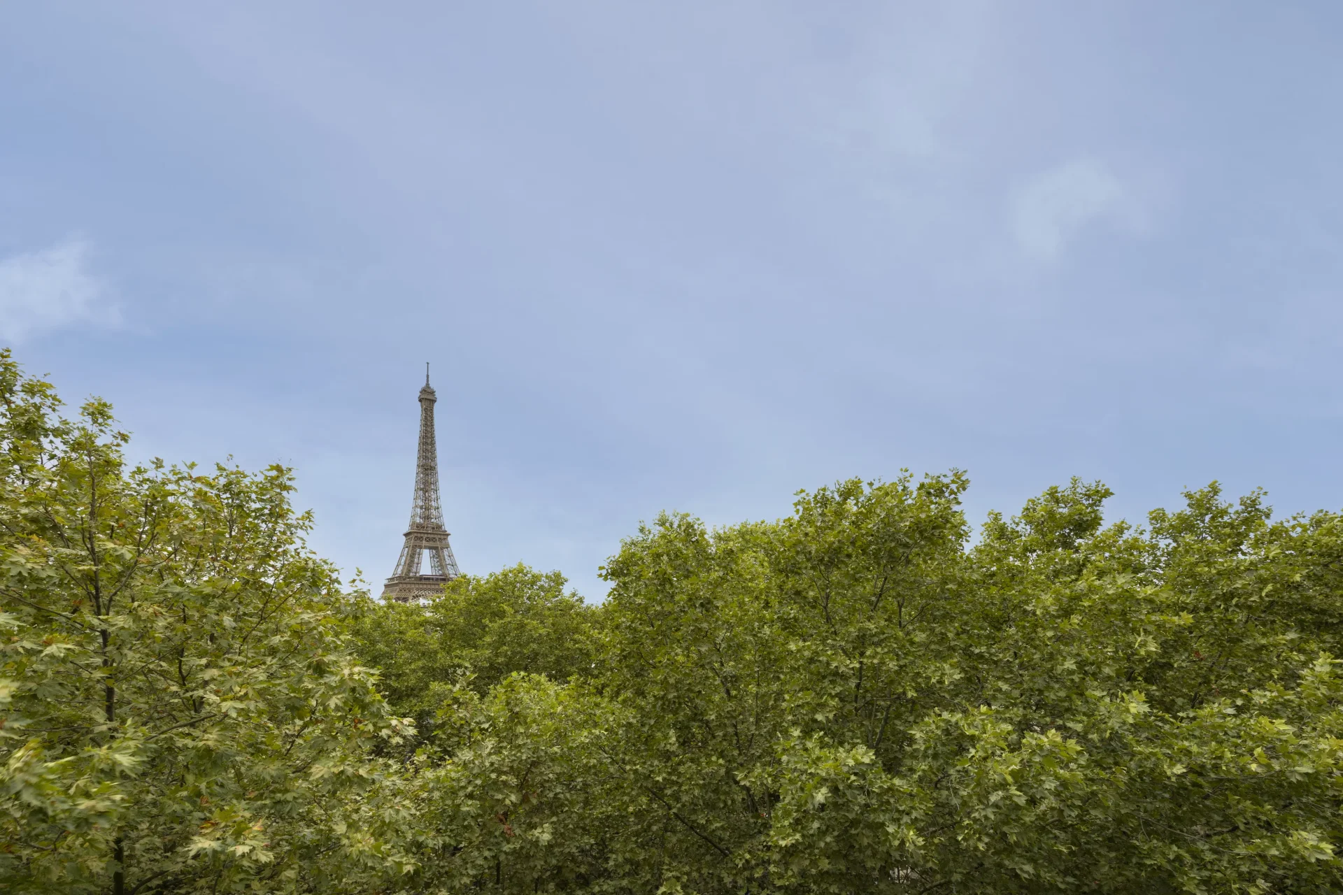 Paris 7e - ALMA / BOSQUET