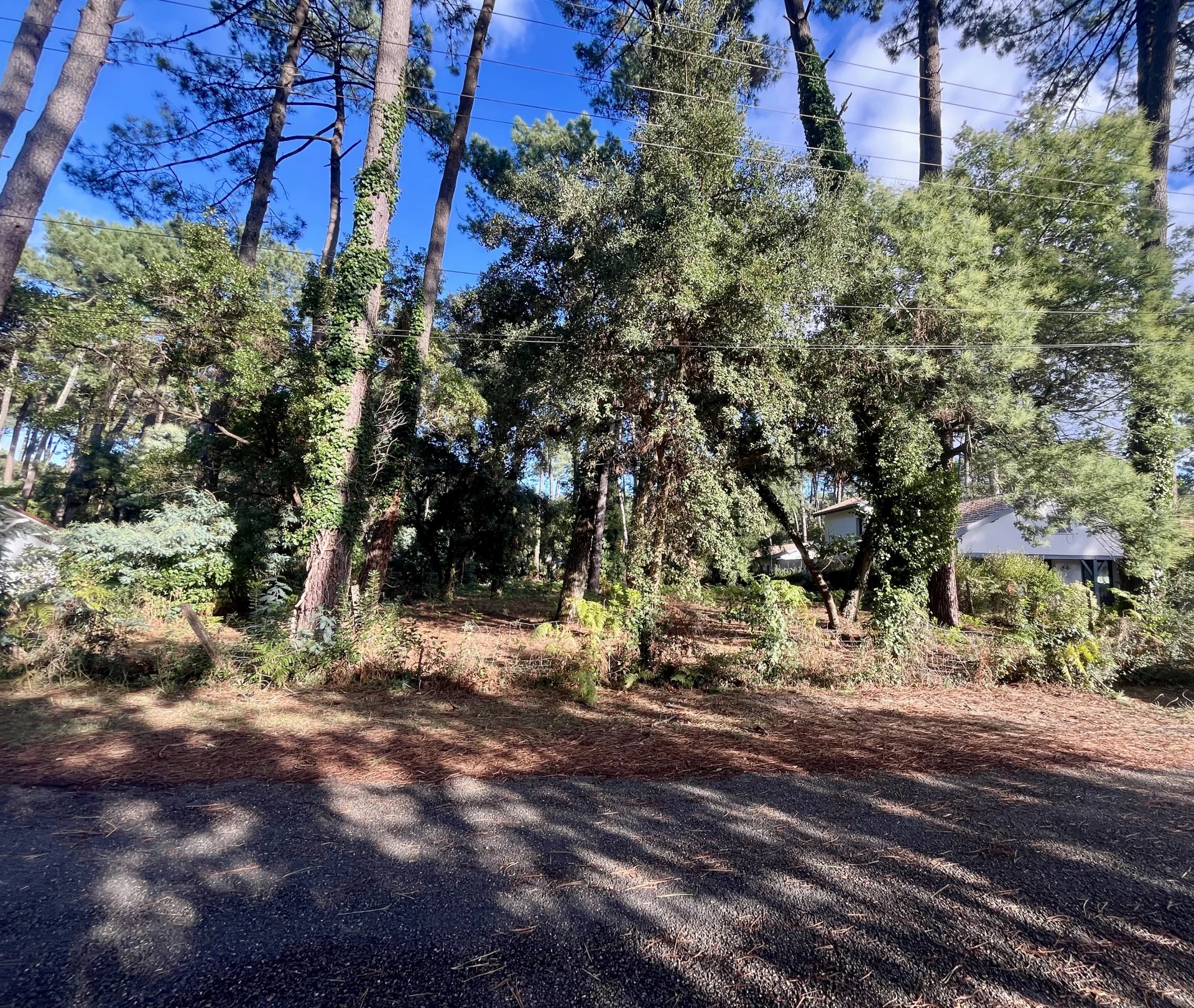 Hossegor Terrain de  1434 m2