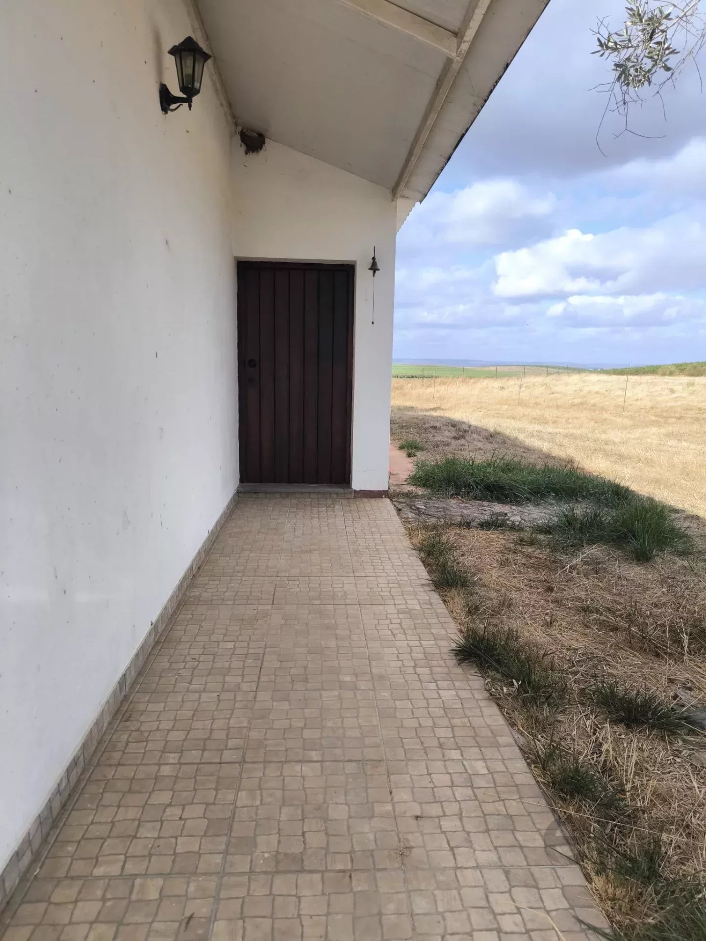 Sustainable farm with swimming pool in Baleizão 86407647 image 3