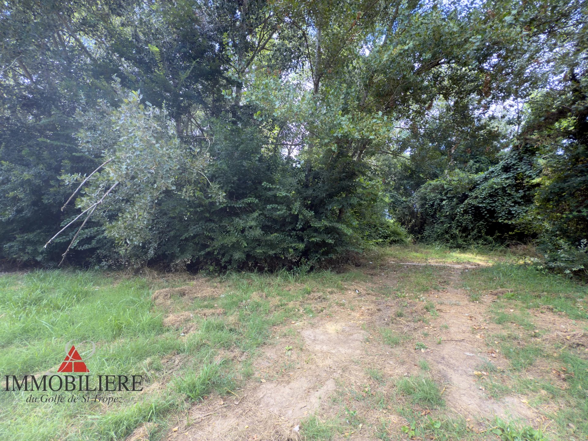 Agence immobilière de Immobilière Du Golfe De Saint-Topez