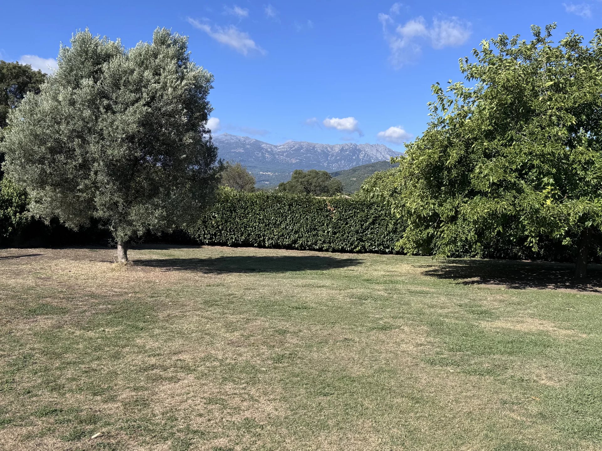 Vente Terrain constructible Prunelli-di-Fiumorbo