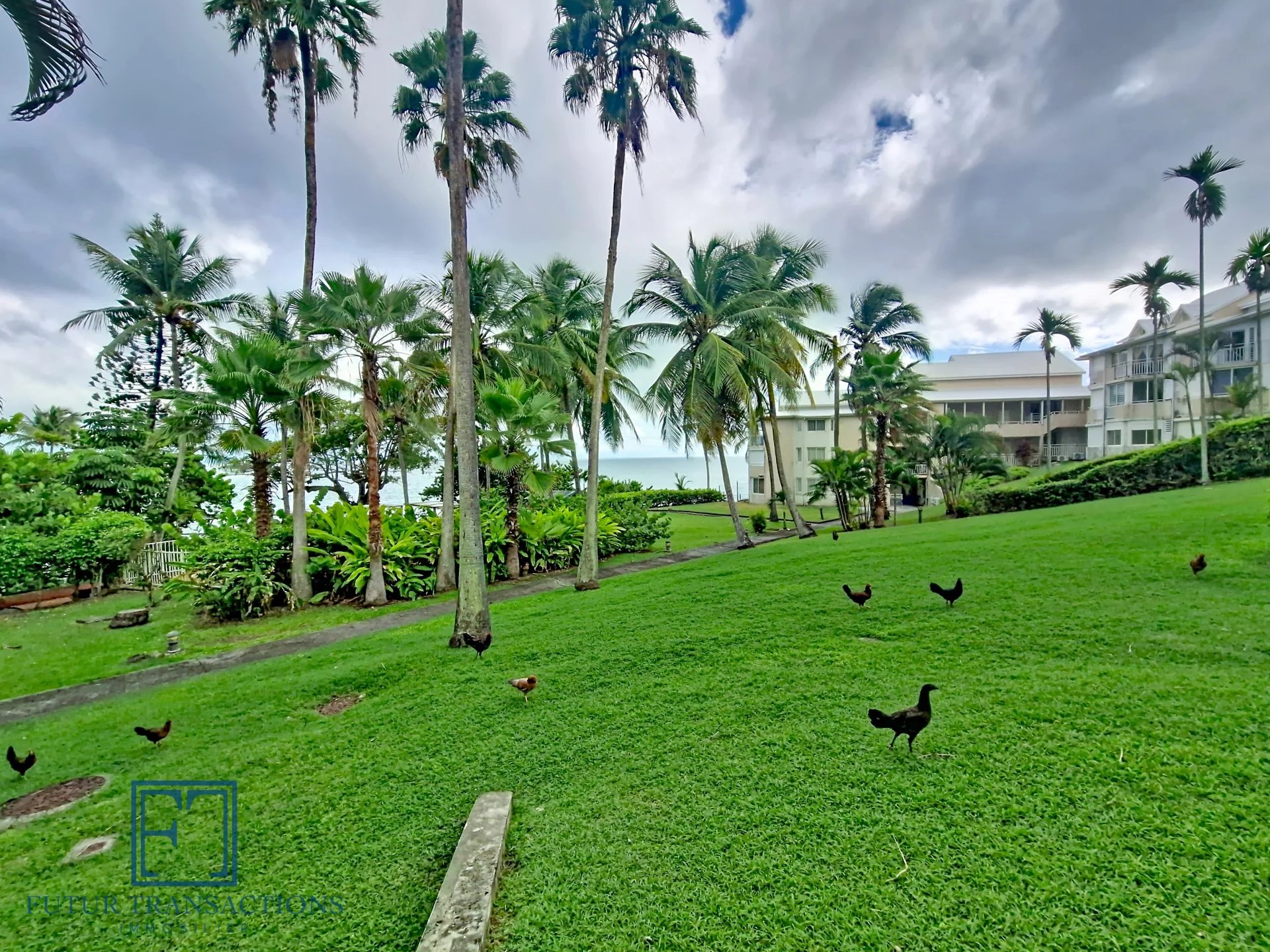 Agence immobilière de Futur Transaction Le Gosier