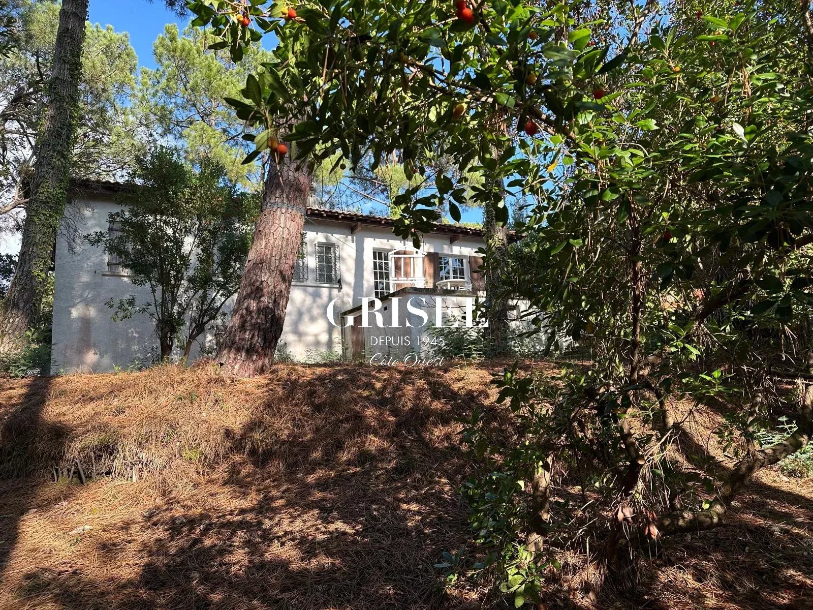 Agence immobilière de Grisel Immobilier Côte Ouest Cap Ferret