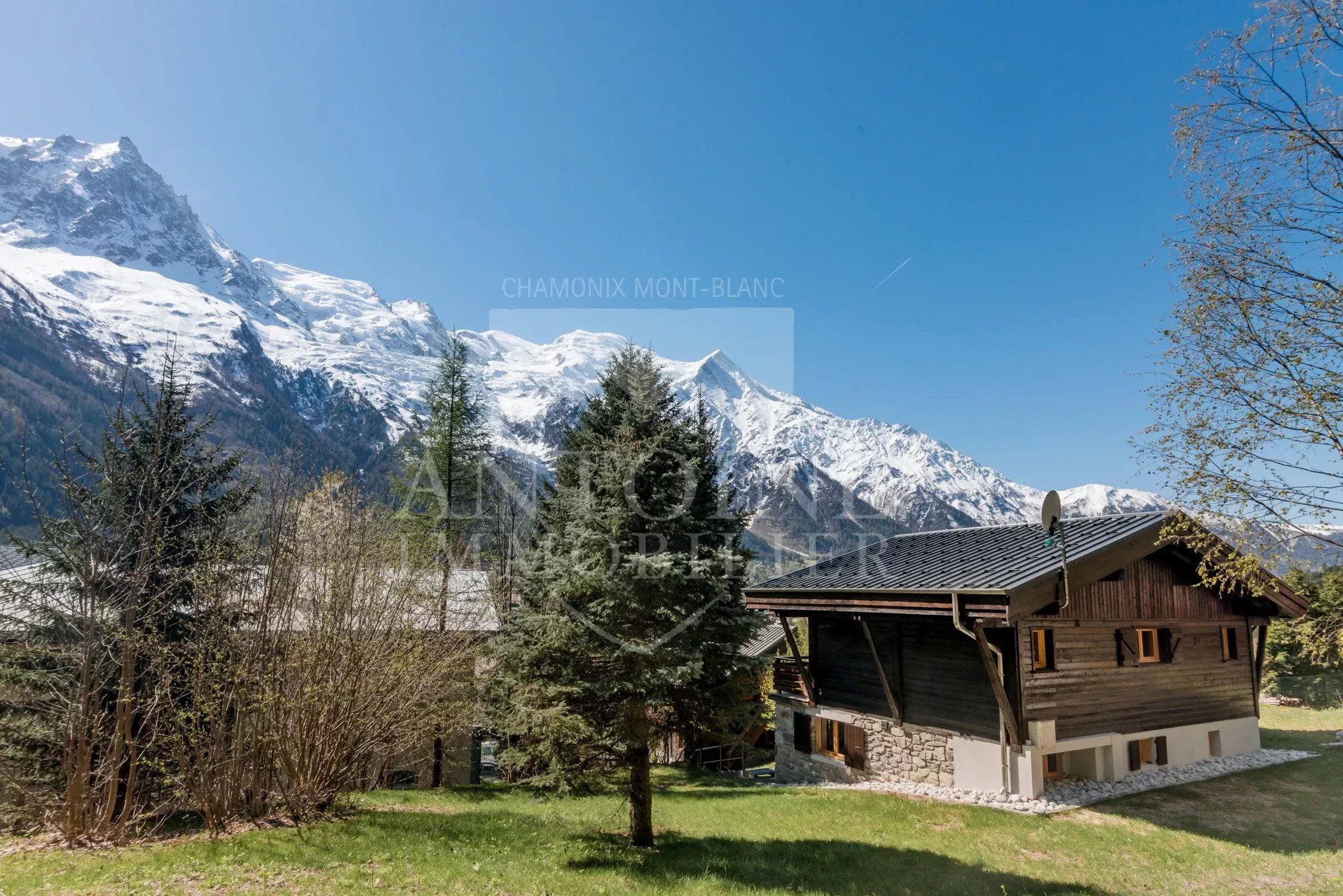 Agence immobilière de Antoine Immobilier