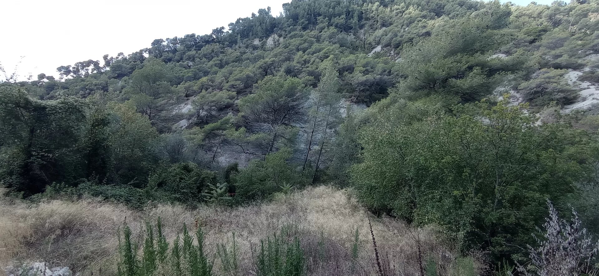 Terrain à L'Escarene - Photo 4