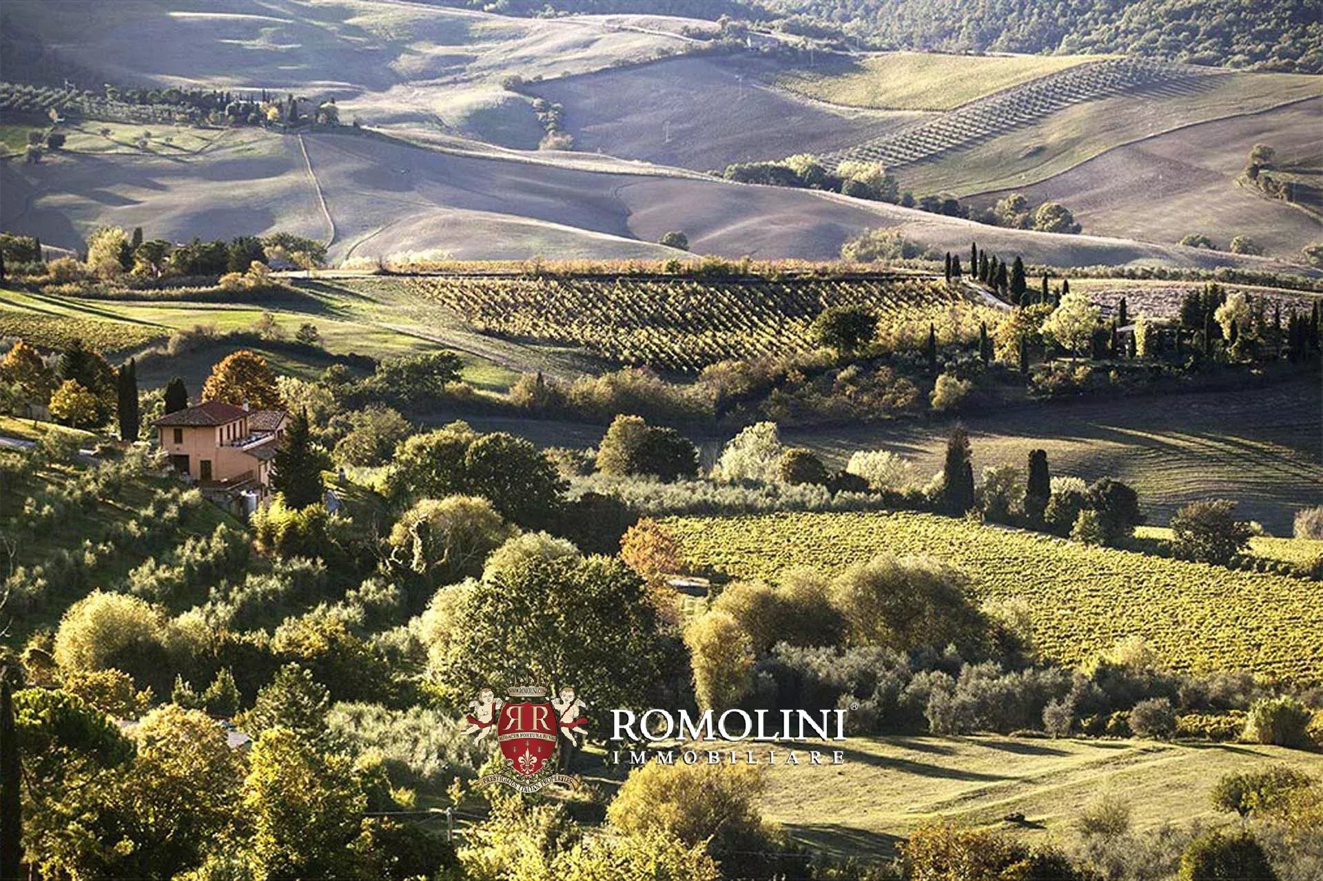 7 Bedroom Vineyard's Image 4