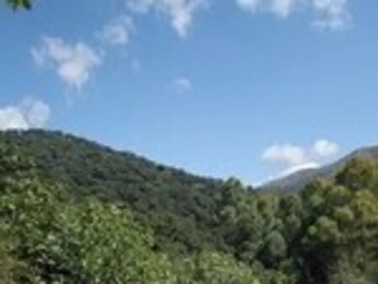 Vente Propriété Casares