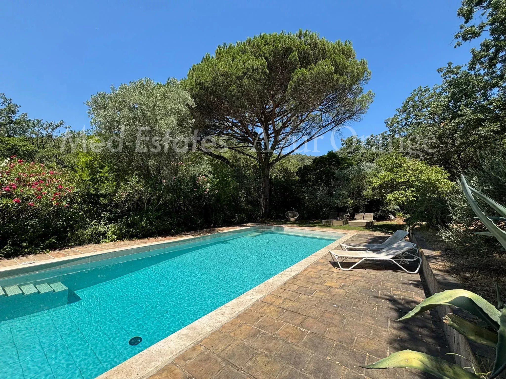 Agence immobilière de Med-Estates Saint Tropez