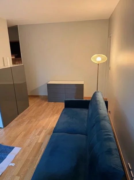 STUDIO - Nogent-sur-Marne - 30 m² - 1 pièce - Image Array