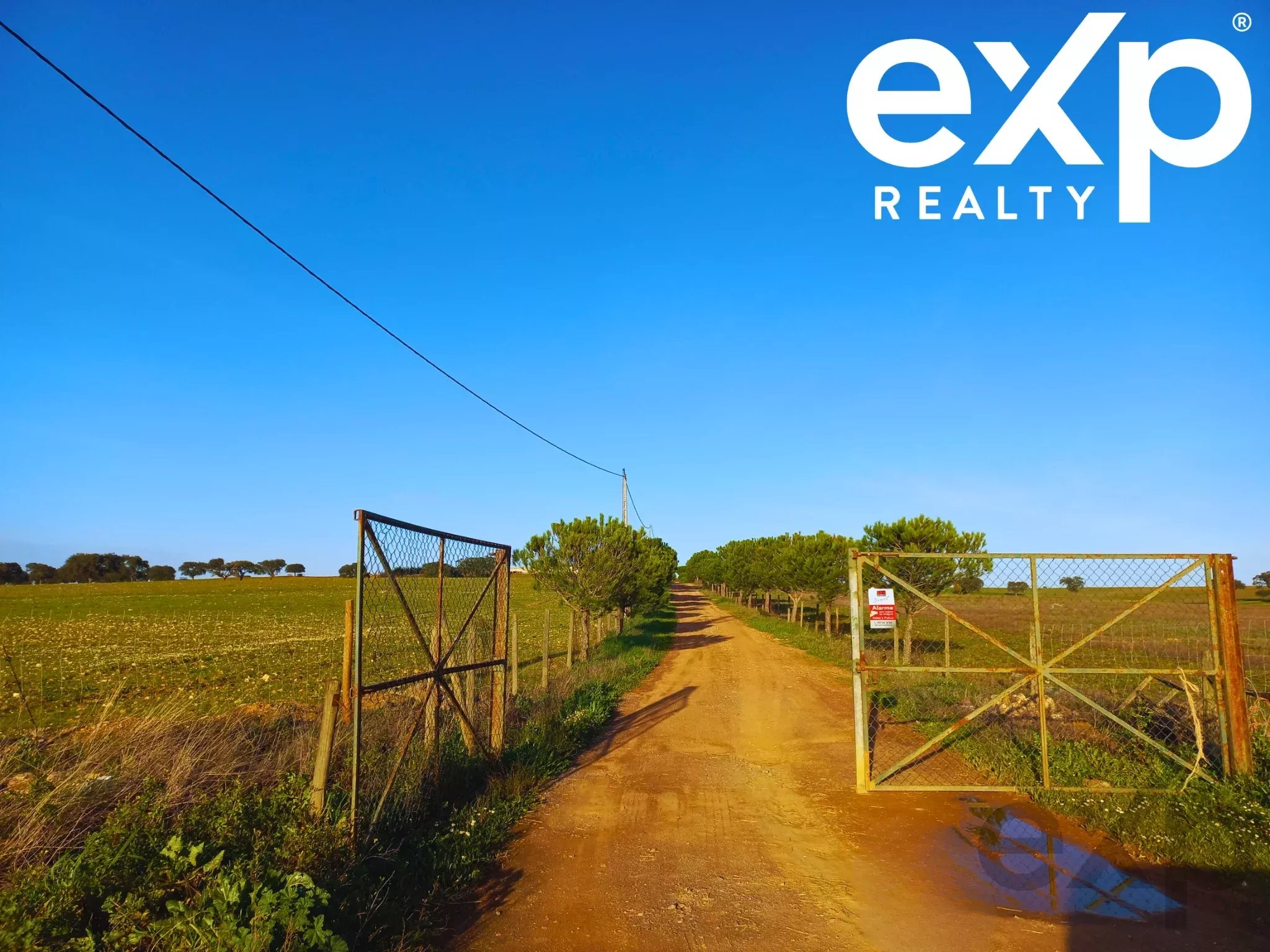 Herdade para Gado -Baixo Alentejo (Insurance for investors, funds and ICNF) 86742404 image 6