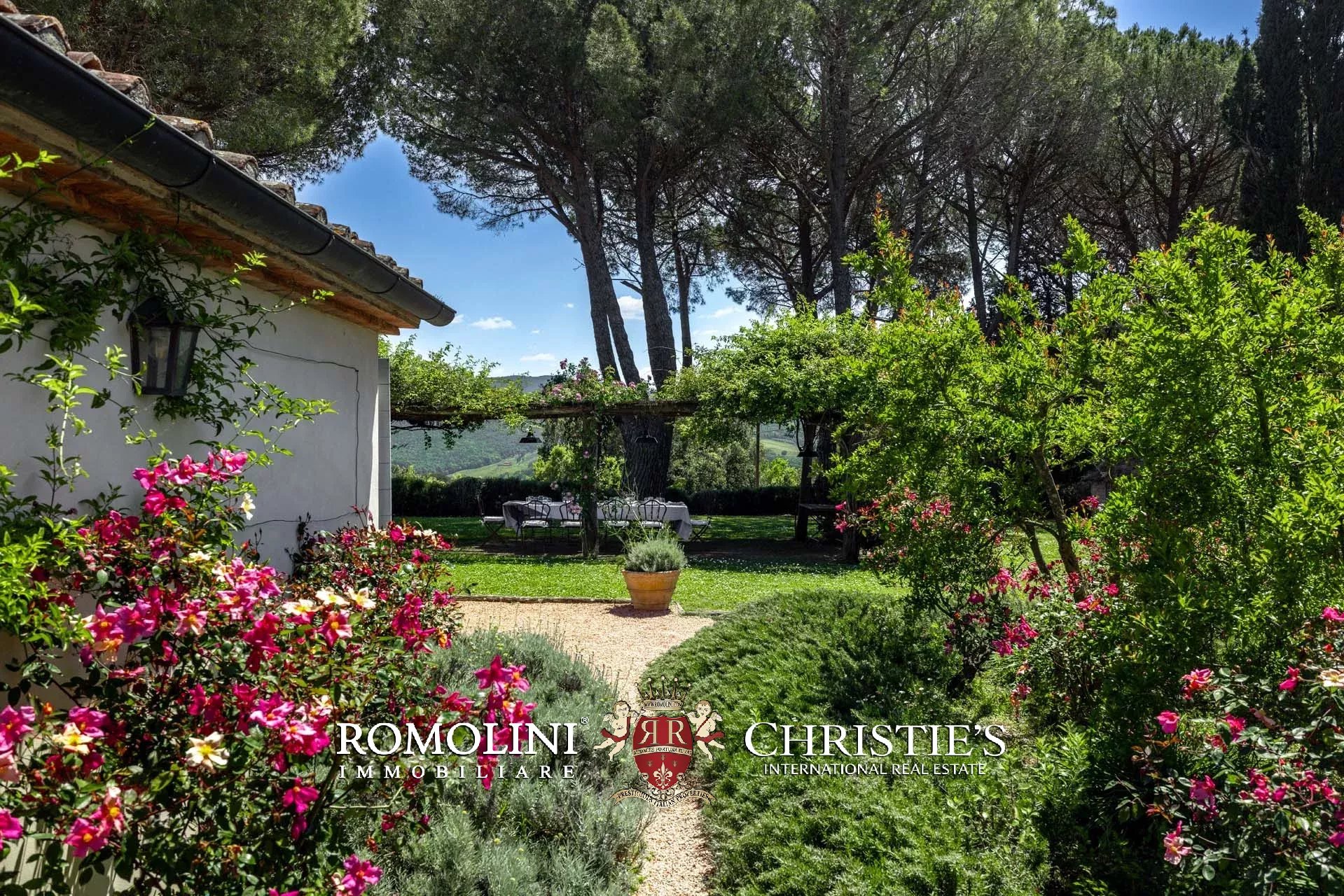 EQUESTRIAN SEA VIEW WINE ESTATE WITH VINEYARDS FOR SALE CLOSE TO BOLGHERI, TUSCANY