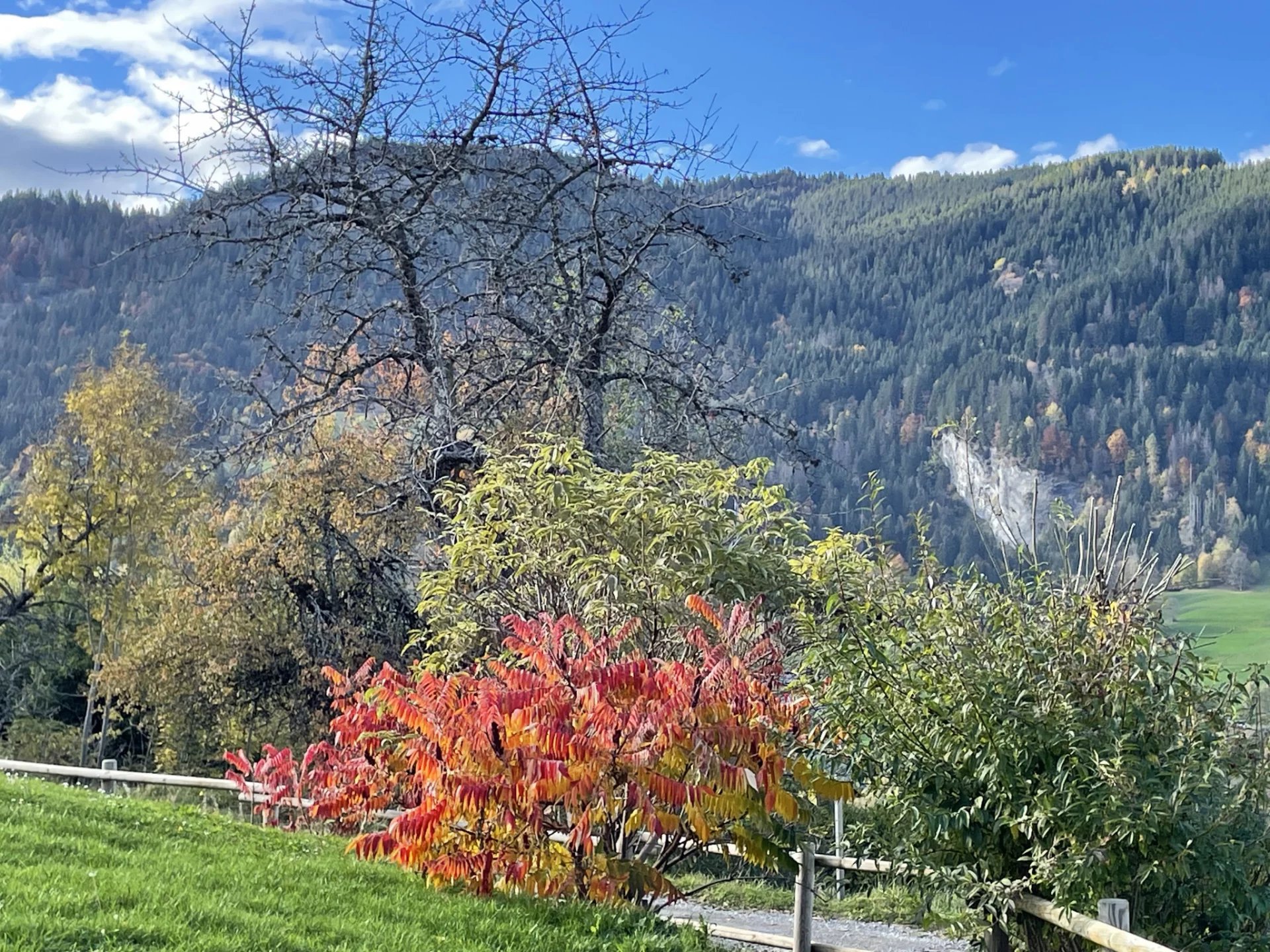Vente Terrain Megève